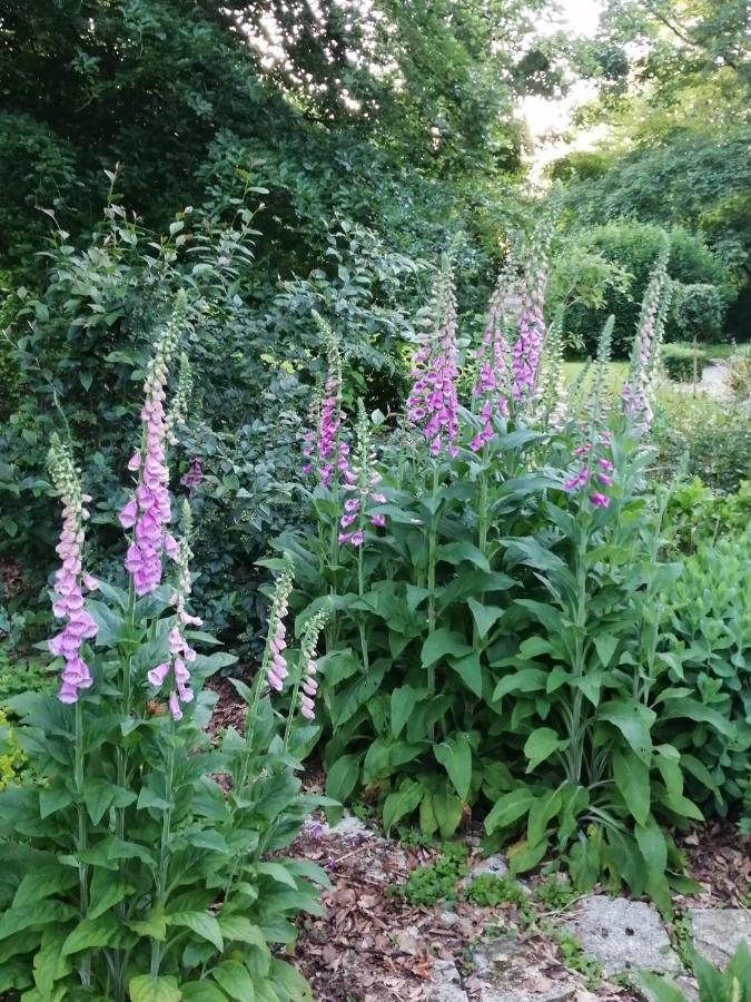 Chambre E Andre Le Domaine Des Jardins De Bracquetuit 外观 照片
