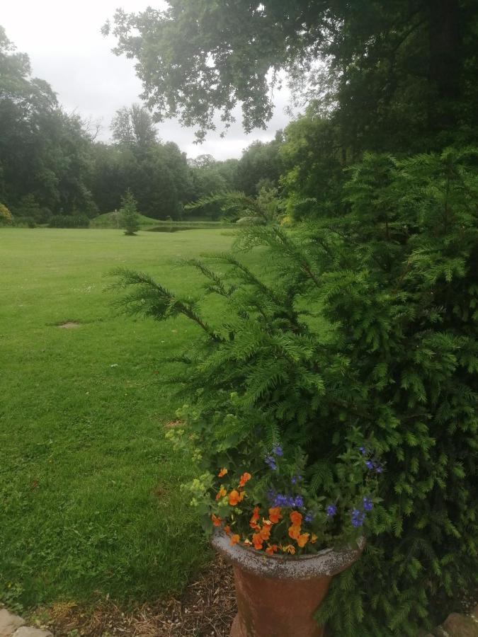 Chambre E Andre Le Domaine Des Jardins De Bracquetuit 外观 照片