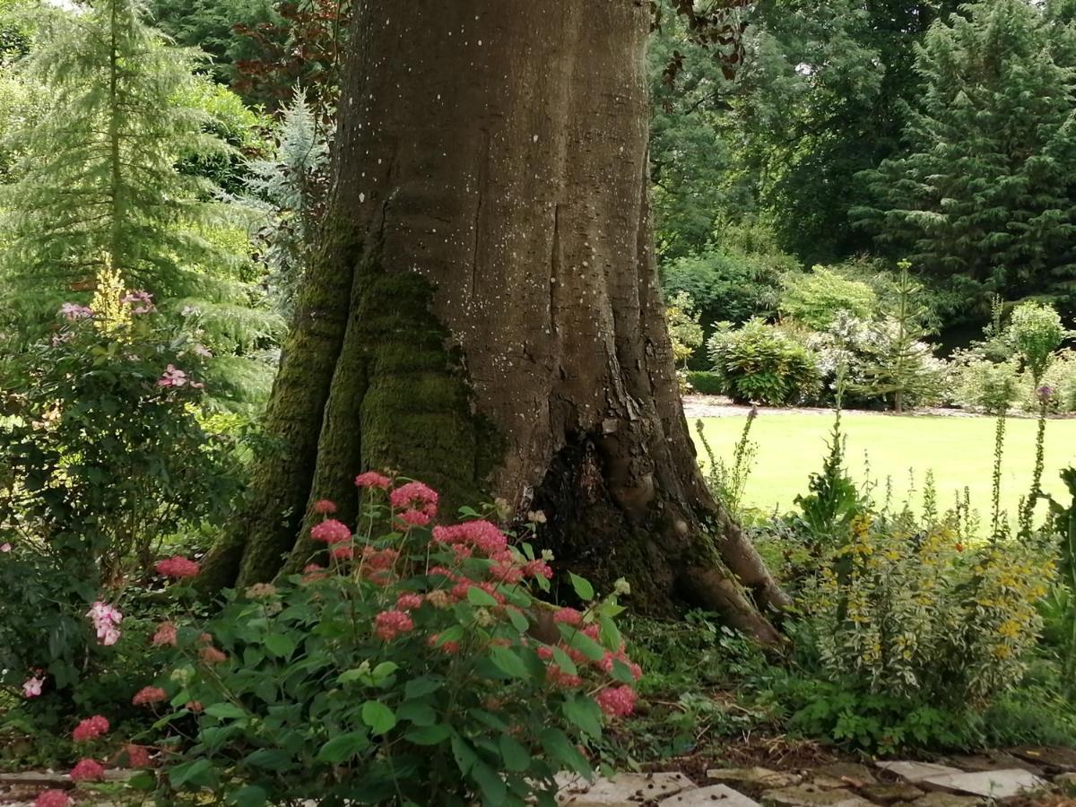 Chambre E Andre Le Domaine Des Jardins De Bracquetuit 外观 照片
