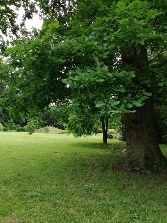 Chambre E Andre Le Domaine Des Jardins De Bracquetuit 外观 照片