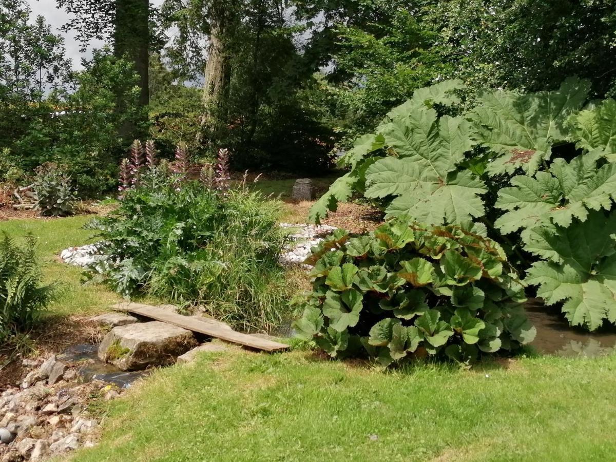 Chambre E Andre Le Domaine Des Jardins De Bracquetuit 外观 照片