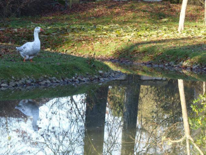 Chambre E Andre Le Domaine Des Jardins De Bracquetuit 外观 照片
